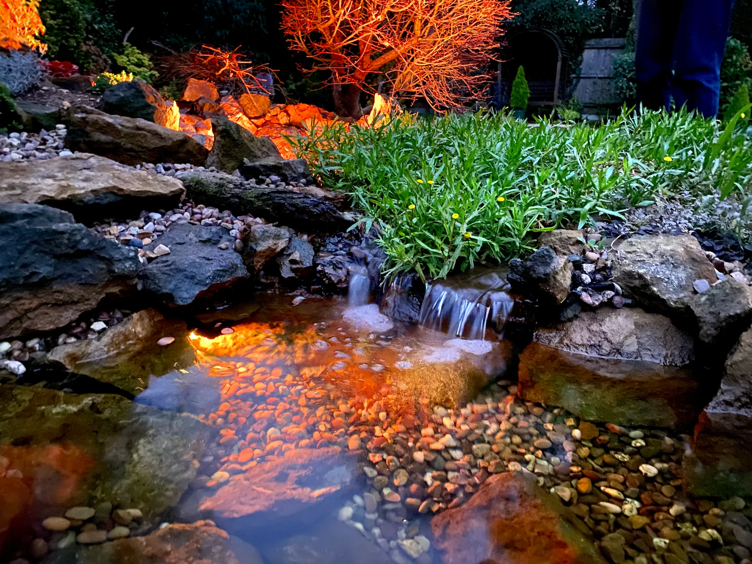 Master Your Garden Water Feature